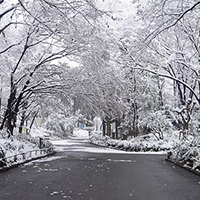 大好きな新宿中央公園